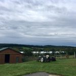 beautiful view from the Reinhart's Barn, which is a great location for weddings