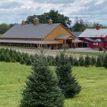 land and trees surrounding the two wedding barns at the barn on oak lane