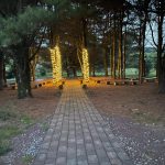 brick path leading down to the outdoor wedding ceremony